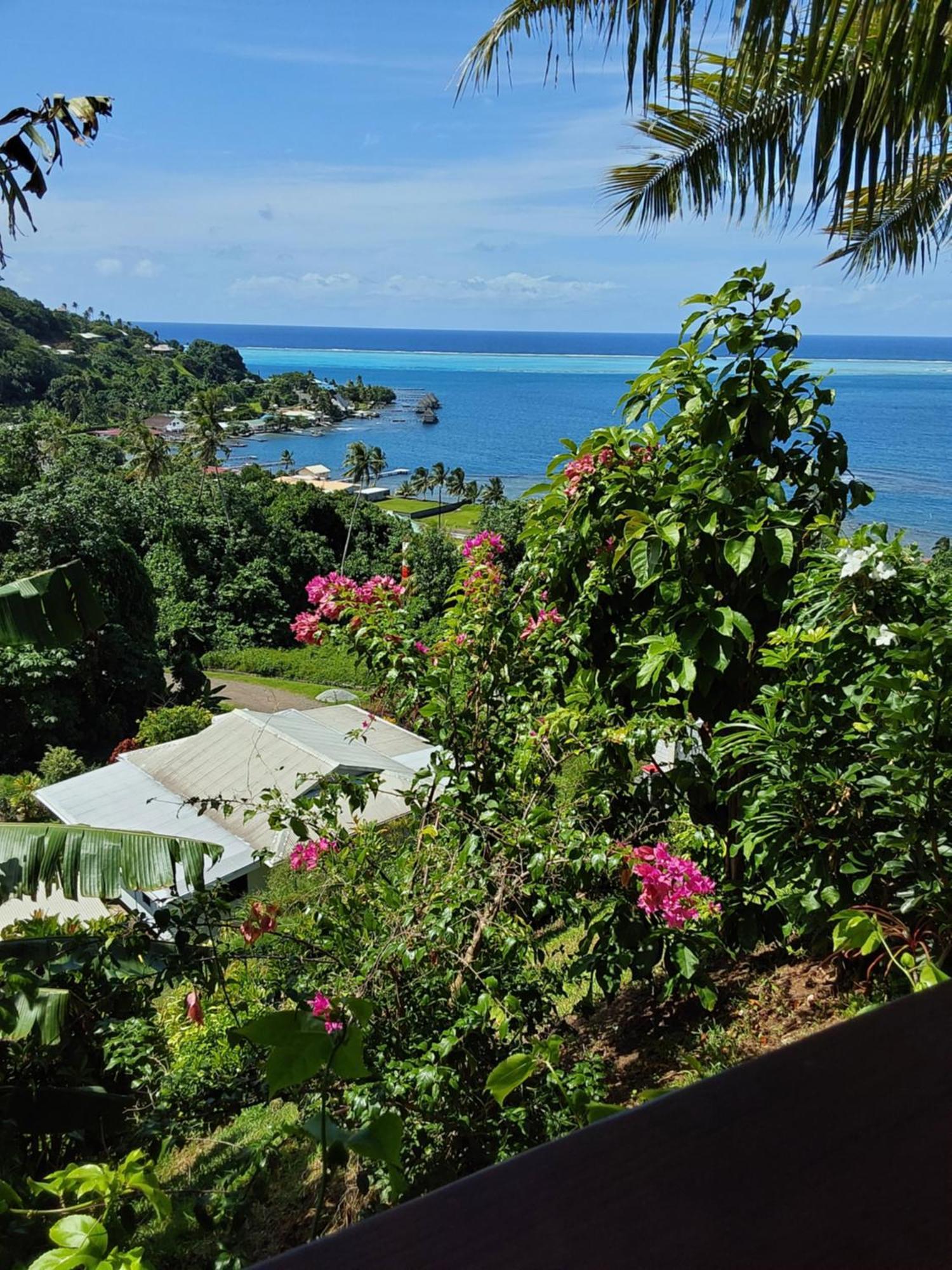 Fare Mahi Mahi Bed & Breakfast Uturoa Exterior photo